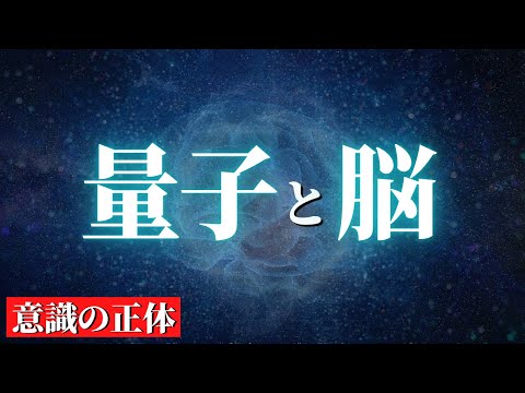 【意識の正体】人類最大の謎と量子の関係、量子もつれと渡り鳥【量子力学と脳】