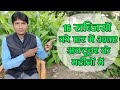 16 सब्जियों को अक्टूबर के महीनों में घर में उगाए, home vegetable, Rn kushwaha