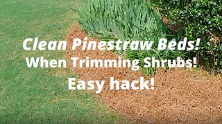 How to keep your pine straw bed clean when trimming shrubs - quick easy hack.