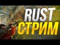    rust   rust csgo