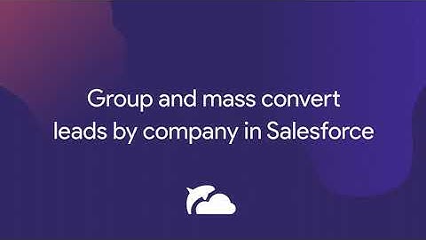 Group and Mass Convert Leads by Company in Salesforce