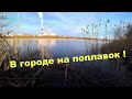 Рыбалка в городе на поплавок. Апрель 2021