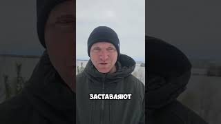 Как синдром  отличника создаёт напряжение в шее и плечах?  Остеопатия и психосоматика