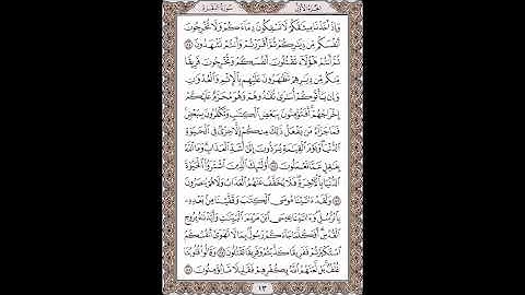 القرآن الكريم بصوت الشيخ سعد الغامدى صفحات صفحة رقم ( 13)