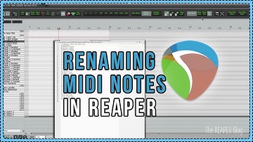 Naming MIDI Notes In REAPER