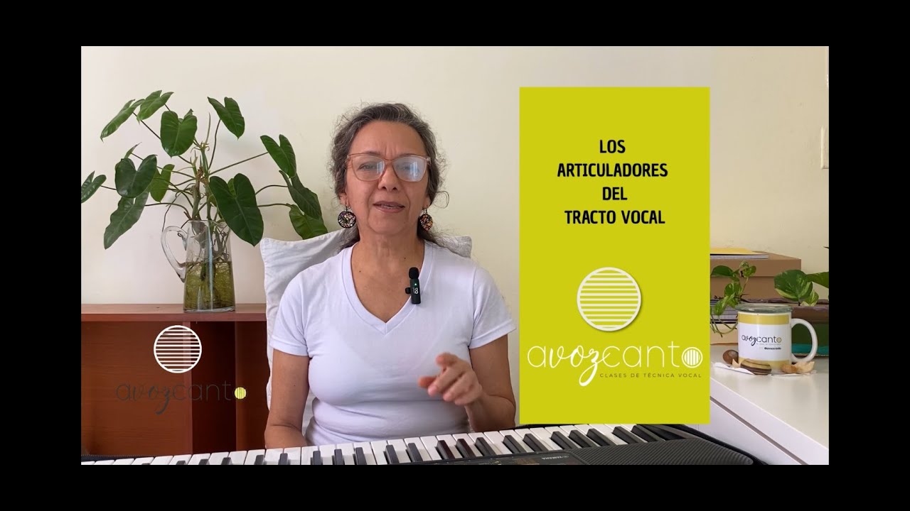 Los ARTICULADORES del tracto vocal 