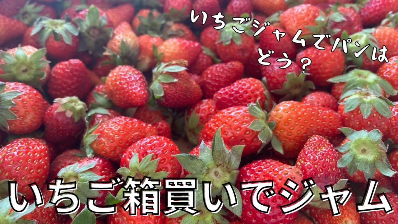 イチゴジャム あまおう使用ケーキ屋さんが作る！いちごジャム3瓶 