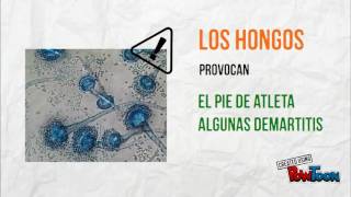 La salud y la enfermedad screenshot 5