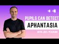 Pupils can detect aphantasia with joel pearson