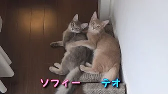 ソフィー＆テオ　～はじめまして