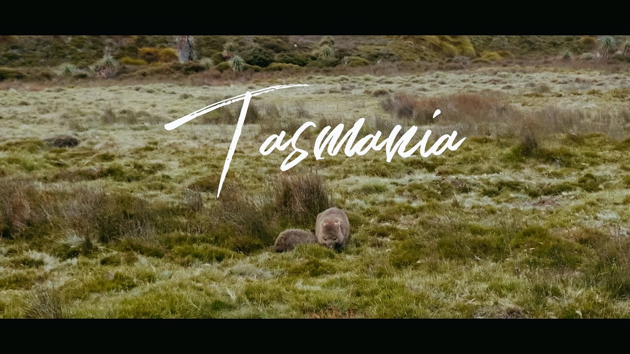 Tasmania vlog 🌿 Road trip from Hobart to Cradle Mountain and back