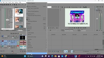 how to make sinada on sony vegas pro