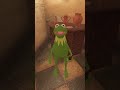 Best Of Both Worlds For Kermit
