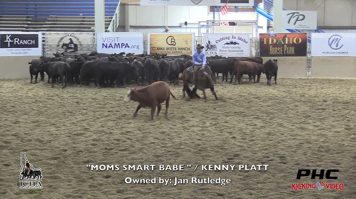 Kenny Platt Moms Smart Babe 2022 Futurity Open Der...