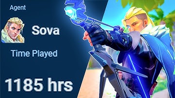 What 1000 hours of SOVA looks like