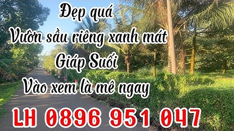 Hay đi nước ngoài it về trông coi Chú Hữu hạ giá kêu bán vườn sầu riêng rất đẹp tại Xã Láng Lớn .