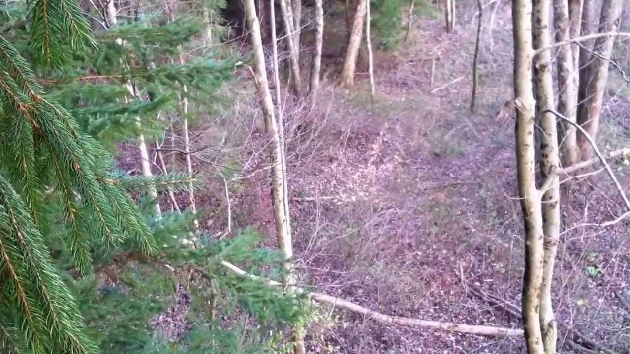 Deer hunting, Spring Mountain, Coshocton Ohio. YouTube