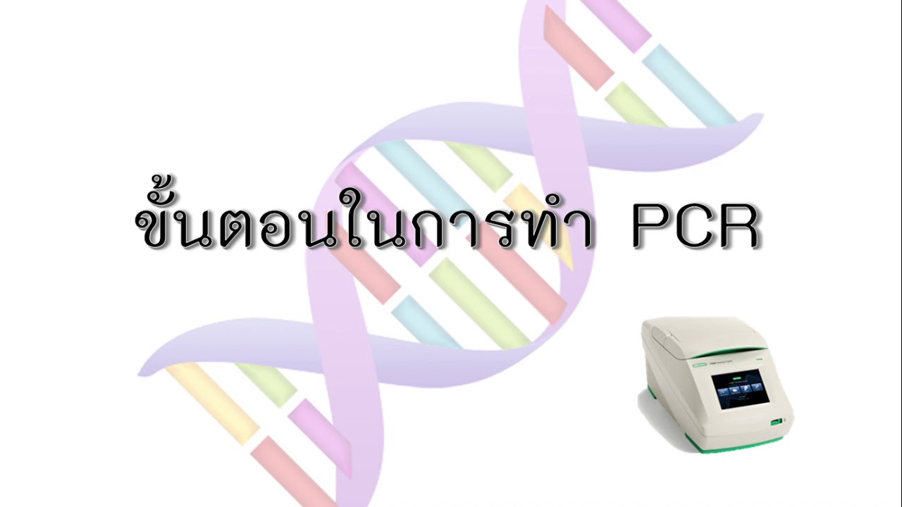 pcr คือ อะไร  2022 New  เทคนิค PCR ( Polymerase chain reaction)