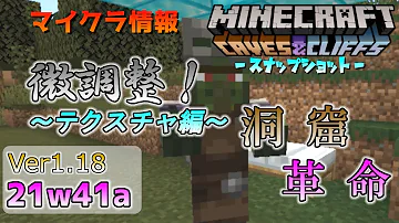 マイクラ ドライト ワイルド マイクラ ドライト ワイルド