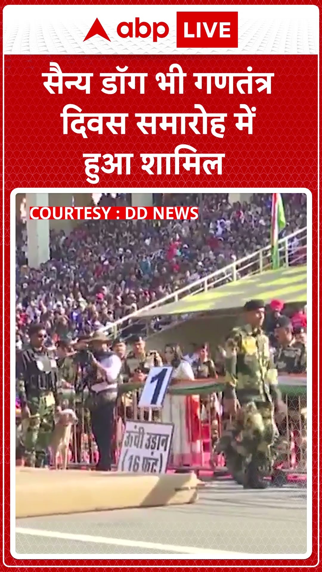 Republic Day 2025: गणतंत्र दिवस समारोह में सैन्य डॉग ने भाग लिया। | ABP LIVE | SHORTS