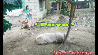 MagBuntis sana para makatulong sa kanilang Pamilya!  Puyo, ang isa ring  'Back 2' sa aking Proyekto!
