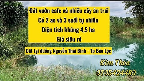 Đất vườn 4,5ha cạnh đường Nguyễn Thái Bình, TP Bảo Lộc, Lâm Đồng giá rẻ