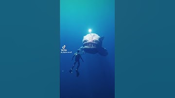Thumbnail of There's always a bigger fish 🐠 #shorts