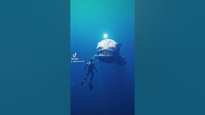 There's always a bigger fish 🐠 #shorts