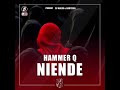 HammerQ = Niende Audio