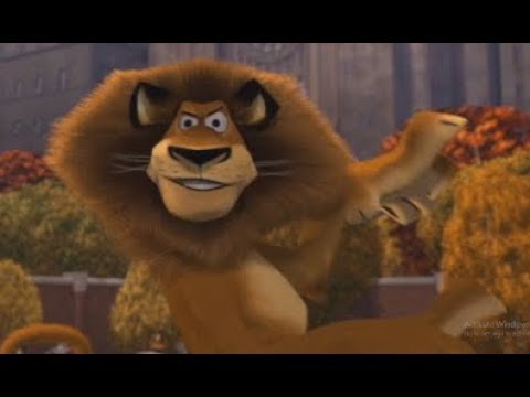 alex the lion - YouTube