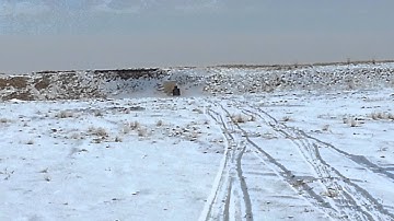 120 yard .223 vs propane torch bottle