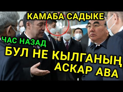 Video: Чачыңызды азыраак жууңуз: бул чынбы