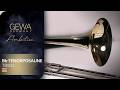 GEWA Germany Bb-Tenorposaune TB501 Ambition