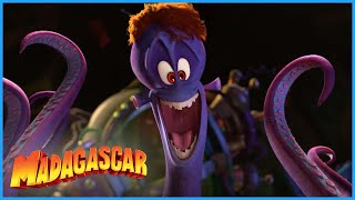DreamWorks Madagascar | Dave tries to be nice | Penguins of Madagascar | Kids Movies