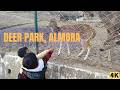 Exploring Deer Park Almora 🌲 | Beautiful Forest & Wildlife Spot