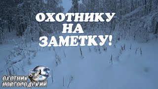 ОХОТНИКУ НА ЗАМЕТКУ!