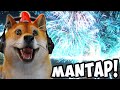 PESTA PALING MERIAH BERAKHIR KEBAKARAN!!! - Fireworks Mania