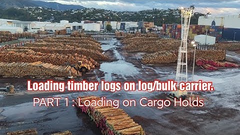 PART 1: Loading timber logs on Cargo Holds | Log/Bulk carrier