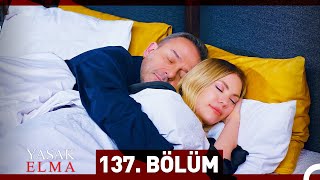 Yasak Elma 137 Bölüm