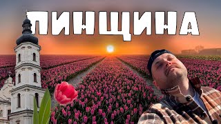 видео: БЕЛОРУССКАЯ ГОЛЛАНДИЯ | ПИНЩИНА картинка: БЕЛОРУССКАЯ ГОЛЛАНДИЯ | ПИНЩИНА