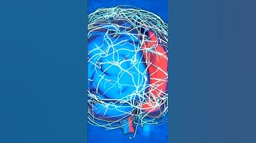 Your Brain vs  Optical Illusions | Revealing 5 Tricks that Defy Reality