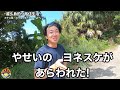 ヨネスケと釣る！屋久島の離島に浮かぶ磯で24時間怪物を求めてみたの巻【口永良部島前編】