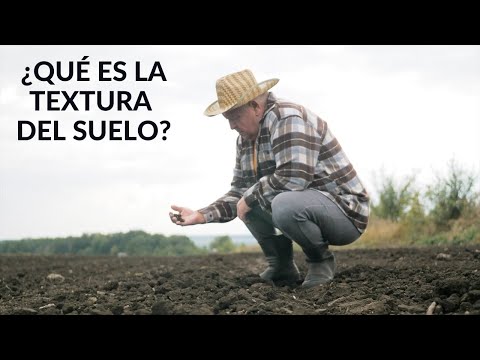 Video: ¿Sobre una textura de suelo?