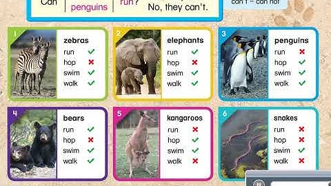 Everybody Up 1   Unit 6   Lesson 4