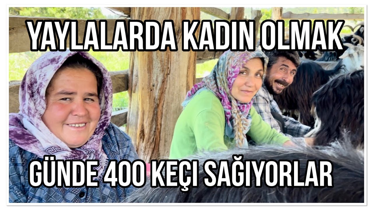 600 KEÇİ - 450 OĞLAK - 300 ERKEÇ - GÜNDE 400 KEÇİ SAĞIYORLAR - YAYLALARDA KADIN OLMAK