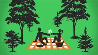 Forest Fast Break: Urban Benefits