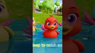 Quack, Quack! 5 Little Ducks on a Day Out 🦆🎶 Nursery Rhymes & Kids Songs for Toddlers @Bubufun