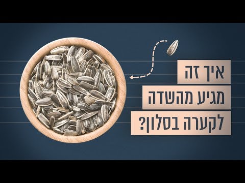 וִידֵאוֹ: איך נראים פרחי שרך