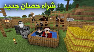 دايموند كرافت #10 اشتريت حصان جديد !!؟