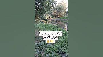 القرآن الكريم الشيخ سعود الشريم #تلاوة_خاشعة #القرآن_الكريم #اكسبلور
